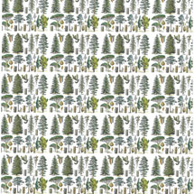 Alternate image Natural History Gift Wrap: Conifers