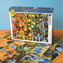 Product Image for Rainbow of Birds Puzzle