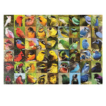 Alternate Image 1 for Rainbow of Birds Puzzle