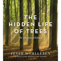 Alternate image for The Hidden Life of Trees: The Illustrated Edition