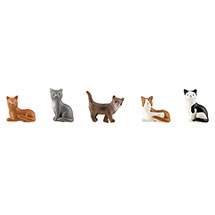 Alternate image Clowder of Cats Magnets