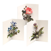 Alternate image for Takeda Floral Pop-Up Cards
