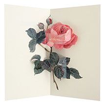 Alternate Image 1 for Takeda Floral Pop-Up Cards