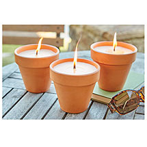 Alternate image for Citronella Candles in Terra-Cotta Pots
