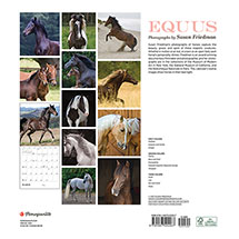 Alternate Image 2 for 2022 Equus Wall Calendar