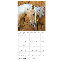 Alternate Image 3 for 2022 Equus Wall Calendar