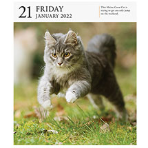 Alternate Image 2 for 2022 Gallery Cat Calendar