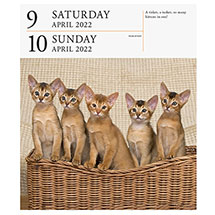 Alternate Image 4 for 2022 Gallery Cat Calendar