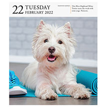 Alternate Image 2 for 2022 Gallery Dog Calendar
