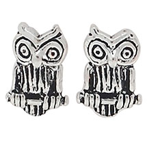 Alternate image for Once You Learn to Read Owl Earrings