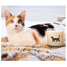 Alternate Image 1 for Cat Candle