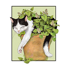 Alternate Image 5 for Cats & Plants Birthday Cards