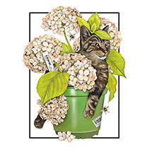 Alternate Image 3 for Cats & Plants Birthday Cards