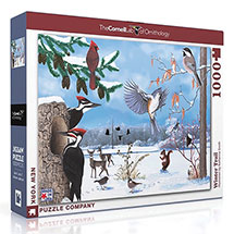 Product Image for Winter Trail Puzzle