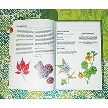Alternate Image 1 for Botanical Art: The Watercolour Art Pad