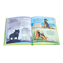Alternate Image 1 for How Dogs Work: A Head-to-Tail Guide to Your Canine