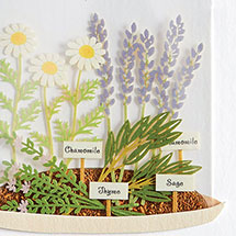 Alternate image for Plants in Cloche Get Well Soon Card