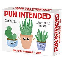 Alternate image for Pun Intended 2023 Daily Box Calendar