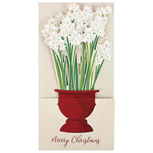 Alternate Image 2 for Paperwhites Pop-Up Cards Boxed Set