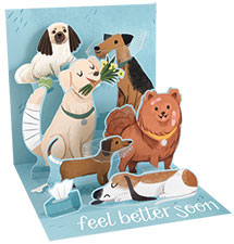 Alternate image for Get Well Dogs Pop-Up Card