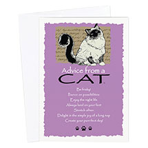 Product Image for Advice from a Cat Card 