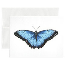 Alternate Image 4 for Lepidoptera Cards