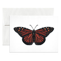 Alternate Image 6 for Lepidoptera Cards