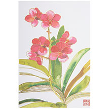 Alternate image for Exotic Orchids Note Cards - Set of 20