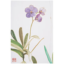 Alternate image for Exotic Orchids Note Card Set