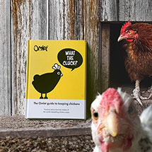 Alternate image for What the Cluck?: The Omlet Guide to Keeping Chickens