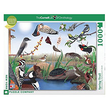 Product Image for Seasonal Puzzle: Spring Trail