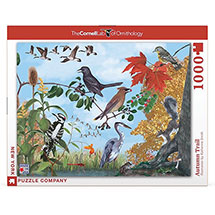 Product Image for Seasonal Puzzle: Autumn Trail
