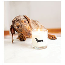 Alternate Image 3 for Dog Breed Candles: Dachshund