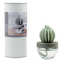 Cactus Fragrance Diffusers: Ocean Breeze