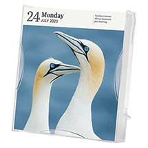 Alternate Image 1 for 2023 Audubon Birds Page-A-Day® Gallery Calendar 