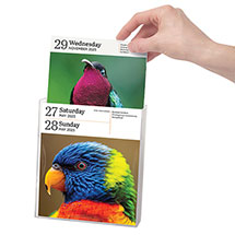 Alternate Image 3 for 2023 Audubon Birds Page-A-Day® Gallery Calendar 