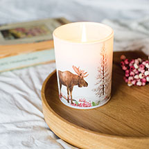 Alternate image for Save the Planet Candle: Soothing Tundra