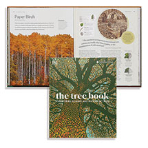Alternate image for The Tree Book: The Stories, Science, and History of Trees