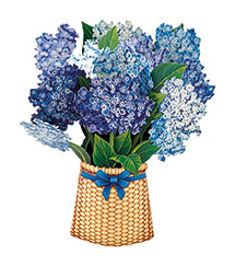 Alternate image for Nantucket Hydrangeas Pop-Up Bouquet Card