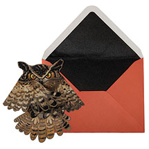 Alternate image for Halloween Owl Card