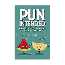 Pun Intended Book