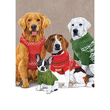 Dogs in Sweaters Cards- Set of 10