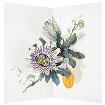 Alternate image for Exotic Flower Pop-Up Cards