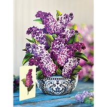 Alternate image Garden Lilacs Pop-up Flower Bouquet Card