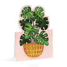 Alternate image for Potted Plants Pop-Up Cards - Set of 12