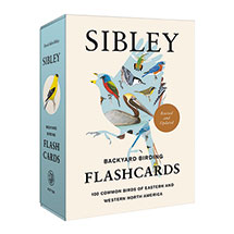 Alternate image for Sibley Backyard Birding Flashcards